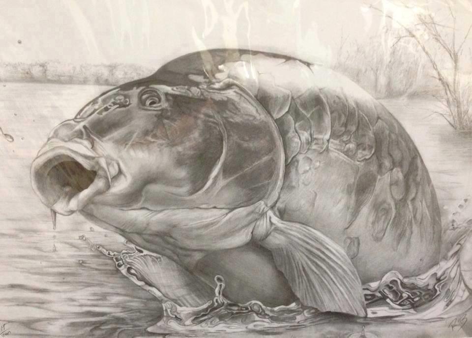 Cartoons - 14507364442365256758821485048569n.jpg